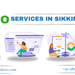 Seo Services In Sikkim.png