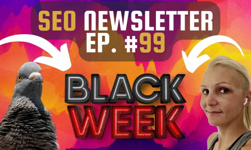 Seo Newsletter Black Week 1024x576.jpg
